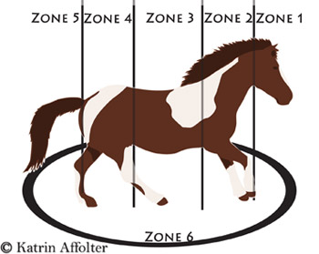 Die Zonen des Pferdes